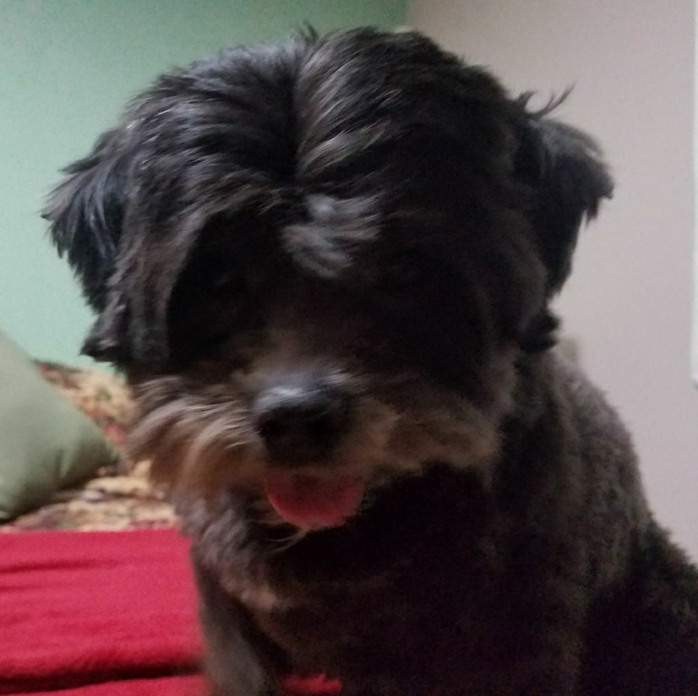 Meet your Posher, Kim